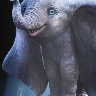 Elephant phone wallpaper