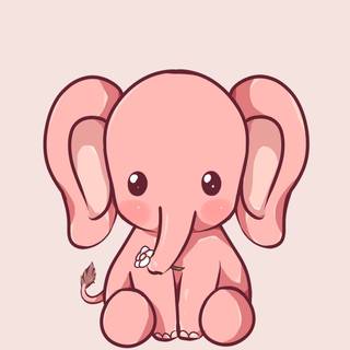 Elephant phone wallpaper
