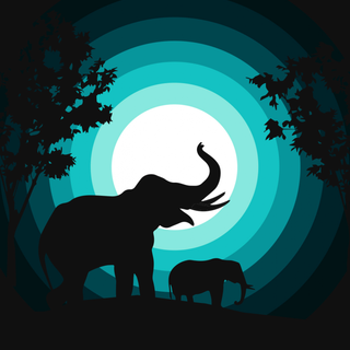 Elephant phone wallpaper