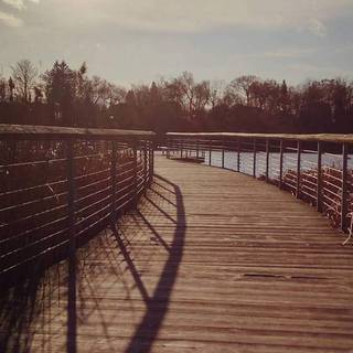 Elegant iPhone wallpaper