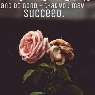 Islamic quotes iPhone wallpaper