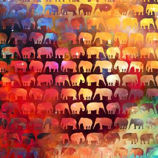 Elephant phone wallpaper