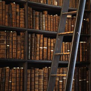 Library iPhone wallpaper