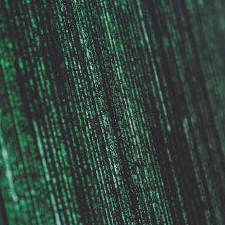 The Matrix iPhone wallpaper