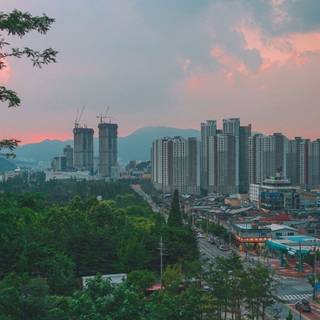 Seoul phone wallpaper