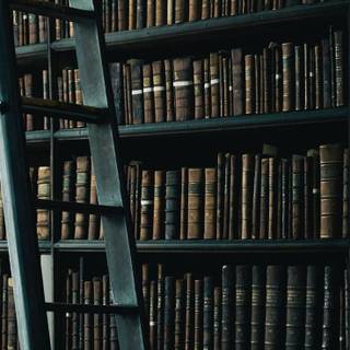 Library iPhone wallpaper