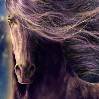 Horses phone wallpaper