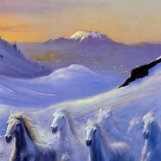 Horses phone wallpaper