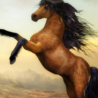 Horses phone wallpaper