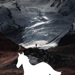 Horses phone wallpaper