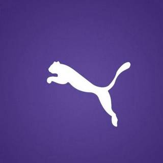 Puma phone wallpaper