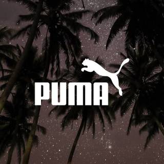 Puma phone wallpaper