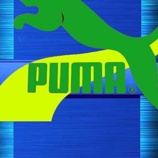 Puma phone wallpaper