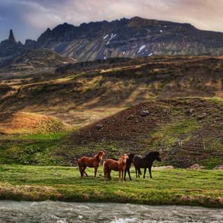 Iceland phone wallpaper