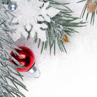 White Xmas wallpaper