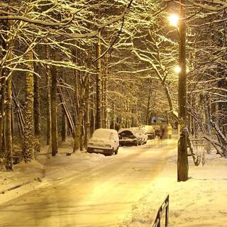 Car night winter wallpaper