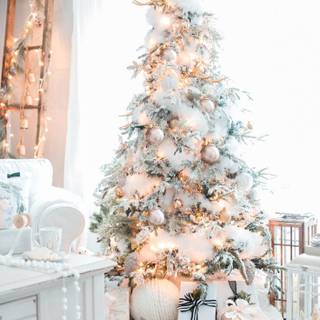 Christmas tree white wallpaper