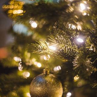 Xmas scenes wallpaper