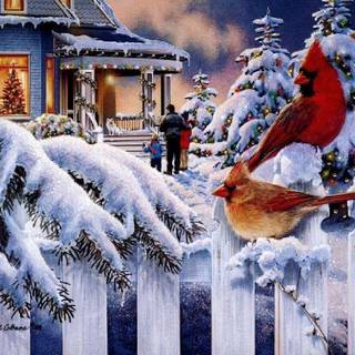 Xmas scenes wallpaper