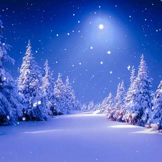 Xmas scenes wallpaper