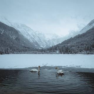 Christmas lake wallpaper