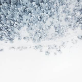 Snowscape wallpaper