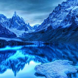 Winter icy wallpaper