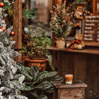 Christmas plants wallpaper