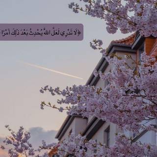 Aesthetic Islamic wallpaper