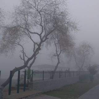 Cyber grunge desktop wallpaper