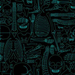 iPhone 13 HD 4k doodle art wallpaper