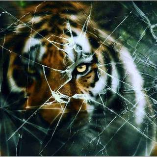 Broken computer wallpaper