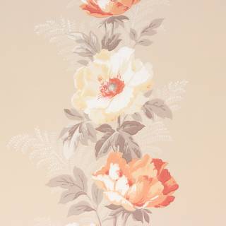 Orange and cream wallpaper
