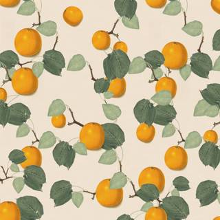 Orange and cream wallpaper