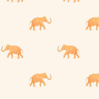 Orange and cream wallpaper