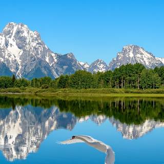 Blue sky reflection wallpaper