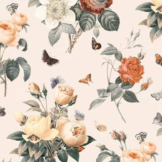 Orange and cream wallpaper