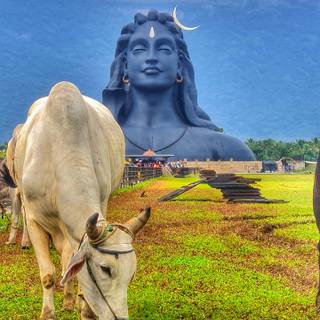 Adiyogi 4k iPhone wallpaper