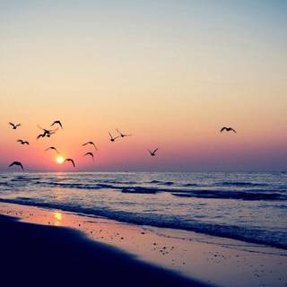 Preppy sunset wallpaper