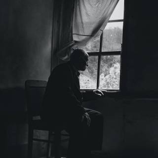 Looking out a window wallpaper