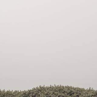 Minimal grey iPhone wallpaper