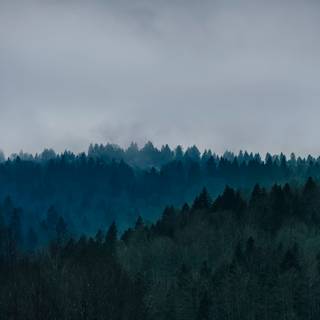 Minimal grey iPhone wallpaper