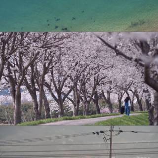 Summer Strike wallpaper