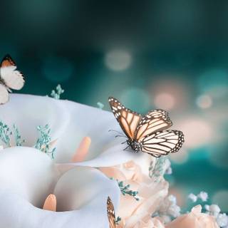 Cute pretty wallpaper