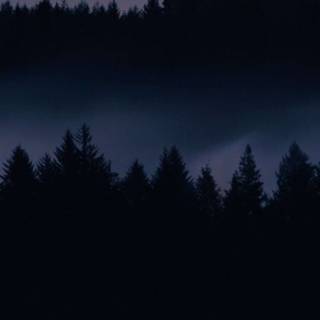Forest HD iPhone wallpaper