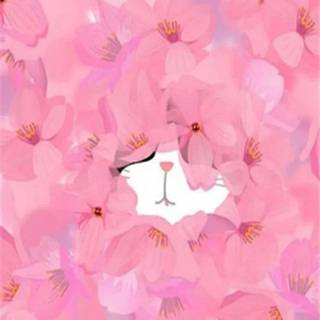 Cute pretty wallpaper