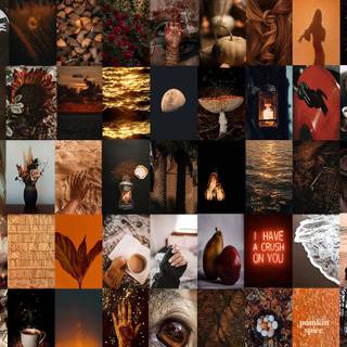 Laptop collage autumn wallpaper