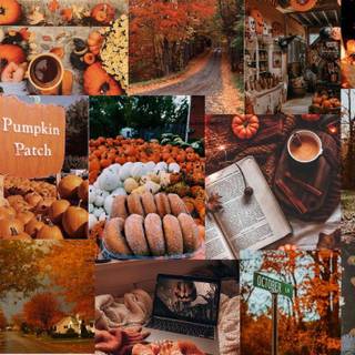 Laptop collage autumn wallpaper