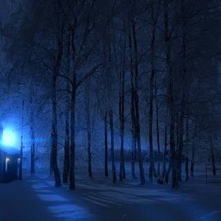 1920x1080 winter night wallpaper