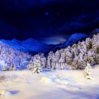 1920x1080 winter night wallpaper